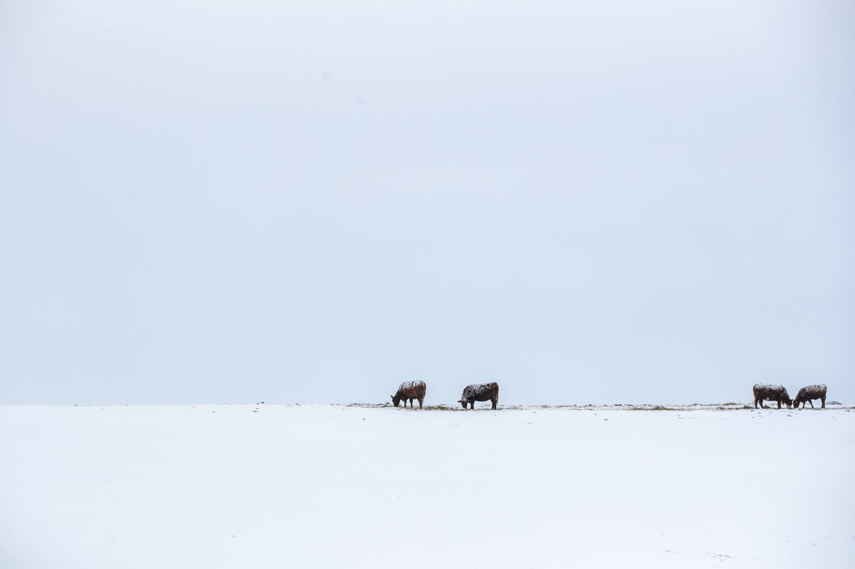 Snow